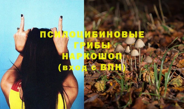 Альфа ПВП Заволжск