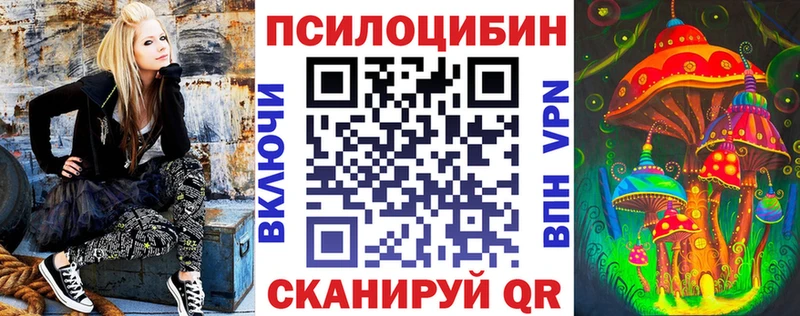 Галлюциногенные грибы Psilocybe  Купить где  Бирск 